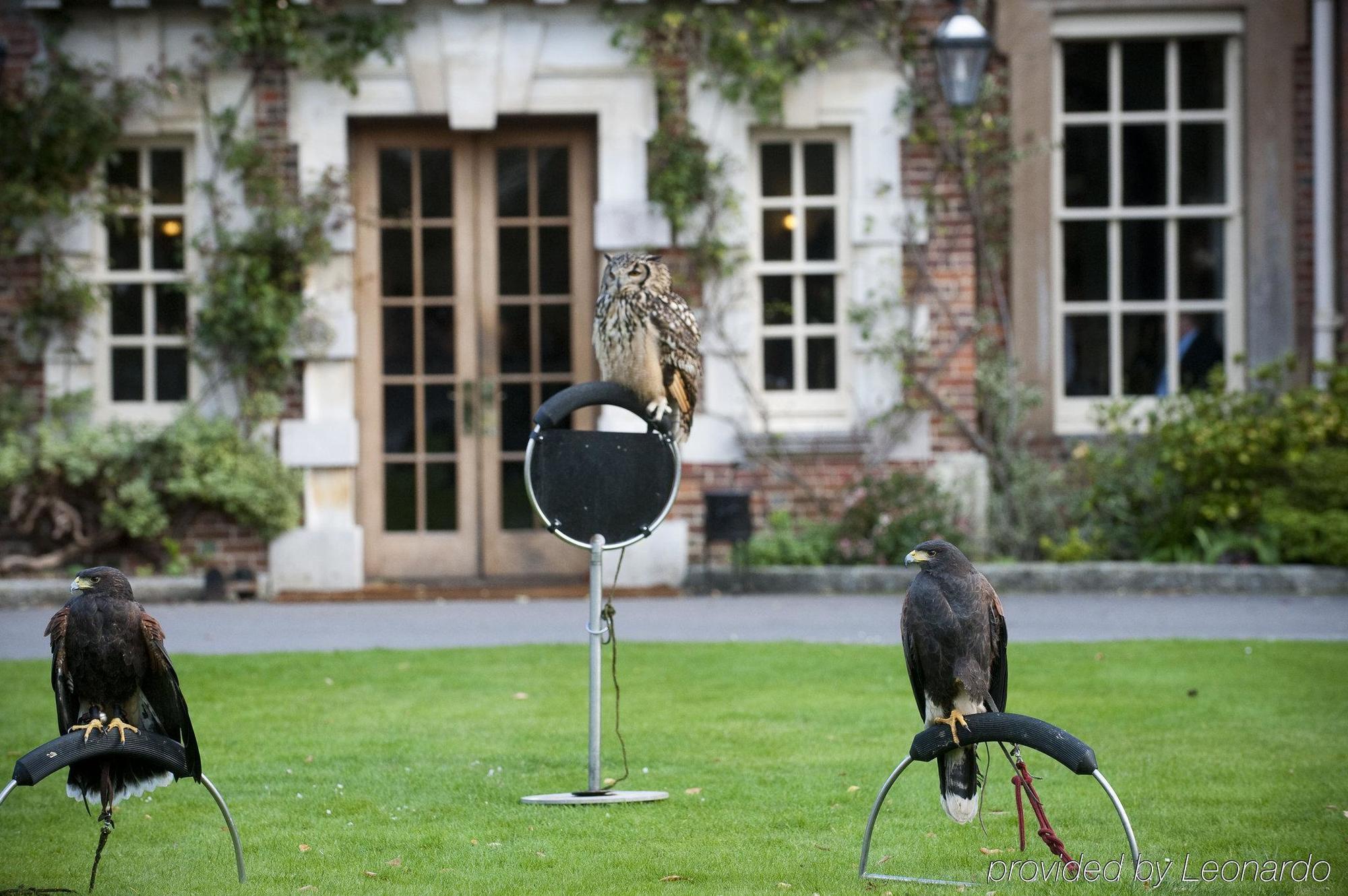 Hotel Lainston House Winchester Ausstattung foto